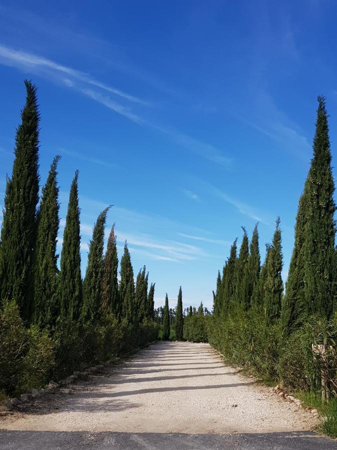 Le Mas Saint Jean Mézoargues Eksteriør bilde